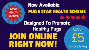 Pug 5 Star Health Scheme-Join Online Today